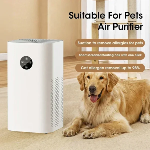 Small Room Air Purifier – HEPA H13 Filter for Allergies, Pets & Smokers - Image 2